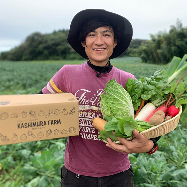 樫村ふぁーむの旬の野菜お任せBOX　L（約10kg以内）