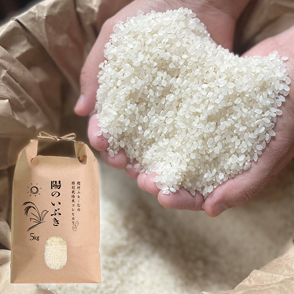 樫村ふぁーむの特別栽培米コシヒカリ『陽のいぶき』　(白米) 5kg