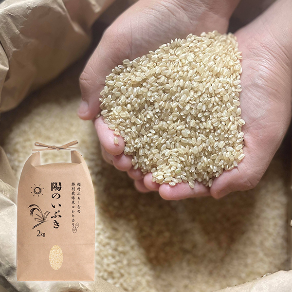 樫村ふぁーむの特別栽培米コシヒカリ『陽のいぶき』　(玄米) 2kg
