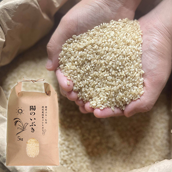 樫村ふぁーむの特別栽培米コシヒカリ『陽のいぶき』　(玄米) 5kg